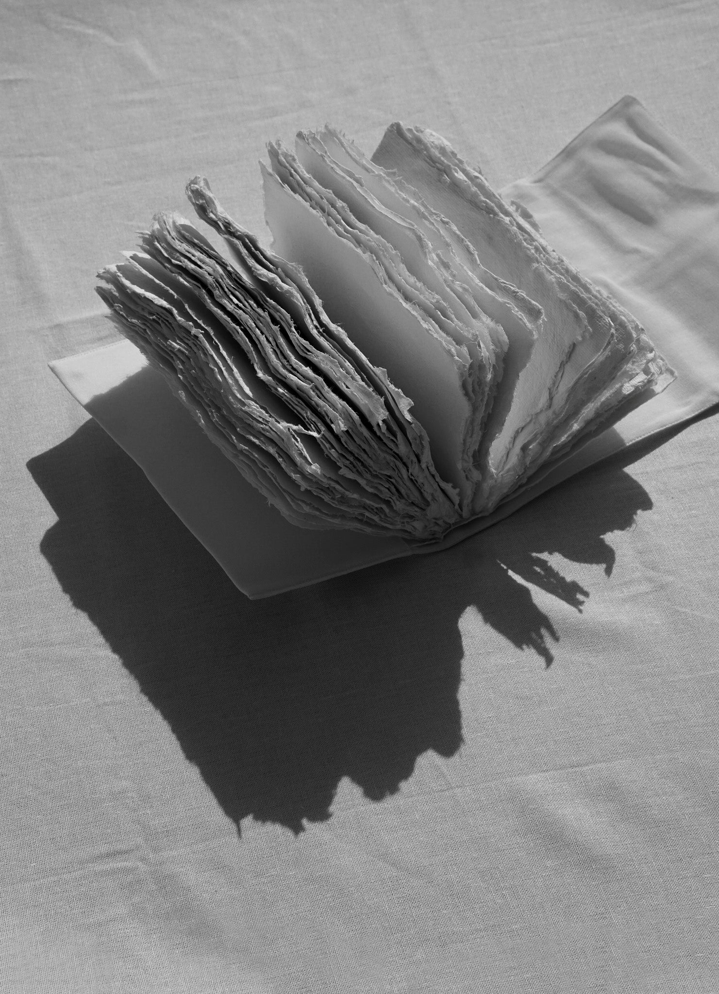 Cotton notebook